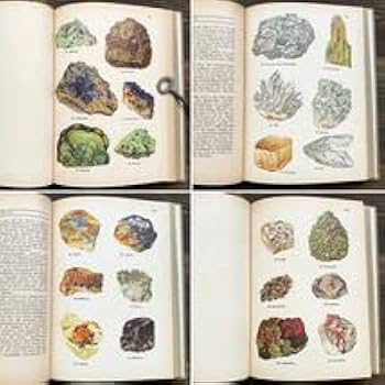 鉱物博物図鑑　1958年（ドイツ）図版ボタニカルアート160枚 Amazon.co.jp: [難あり]ドイツの古い植物図鑑(DIE